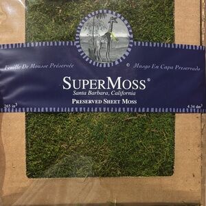 Preserved Sheet Moss - Green